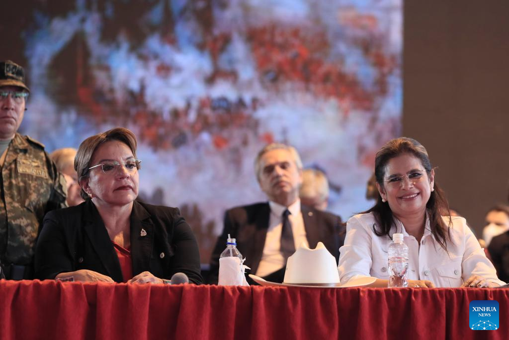 Crecen dudas sobre LIBRE por acaparamiento de poder y comparaciones con JOH